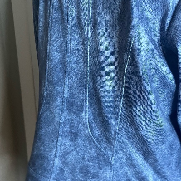 Liquid leather jacket and pant set blue snakeskin by Clara sun woo nwt - Picture 5 of 16